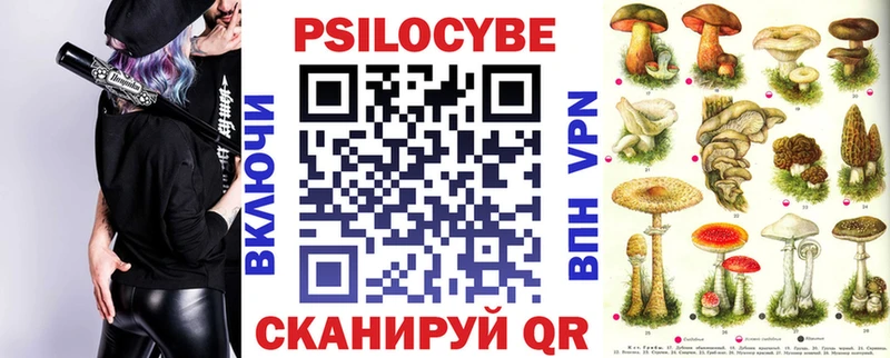 mega tor Кизляр Псилоцибиновые грибы ЛСД